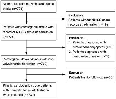 Establishment and validation of a 3-month prediction model for poor functional outcomes in patients with acute cardiogenic cerebral embolism related to non-valvular atrial fibrillation